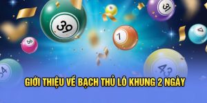 Giới thiệu về bạch thủ lô khung 2 ngày